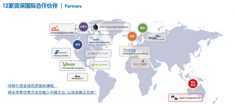 12家资深国际合作伙伴