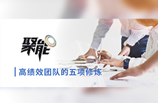 聚能：高绩效团队的五项修炼